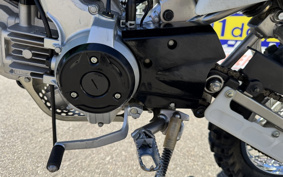 KAWASAKI KLX110L LX110D