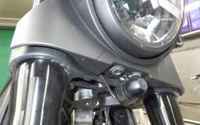 OTHER フメイ 2019