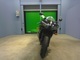 Фото Yamaha YZF-R1 2006 с японского аукциона
