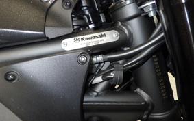 KAWASAKI Z900 2025 ZR900S