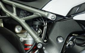 BMW S1000RR M DDC 2025