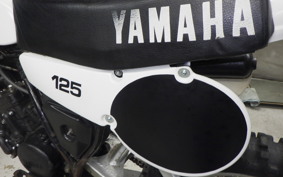 YAMAHA YZ125 2017 4V2