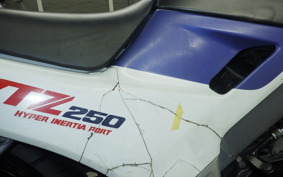 HONDA VTZ250 1992 MC15