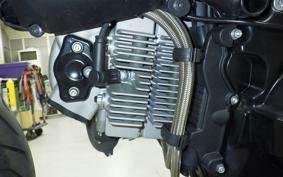 DUCATI MONSTER 1100 EVO 2013