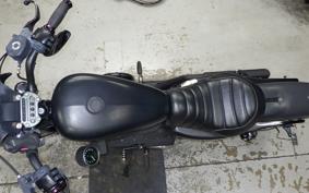 HARLEY XL883N 2015