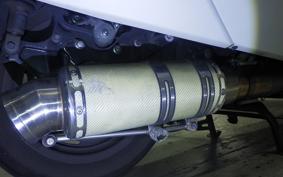 YAMAHA MAXAM 250 SG21J