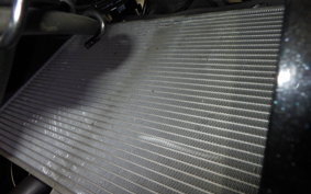 KAWASAKI NINJA 1000SX 2024 ZXT02K