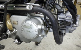HONDA GORILLA Z50J