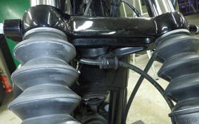 HARLEY XL883N 2015
