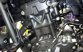 HONDA REBEL 250 A 2022 MC49