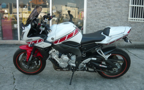 YAMAHA FZ1 FAZER 2010 RN21J