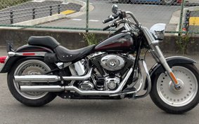 HARLEY FLSTF1340-1450 2007 BX5
