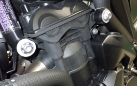 TRIUMPH STREET TRIPLE RS 2023
