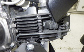 KAWASAKI Z125 PRO BR125H