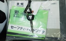 KAWASAKI NINJA ZX-6R A 2021 ZX636G