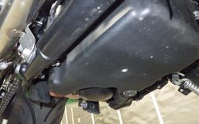 TRIUMPH SPEED TWIN 900 2024