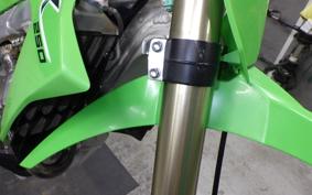KAWASAKI KX250 2019 KX252E