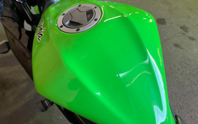KAWASAKI Ninja 250SL BX250A