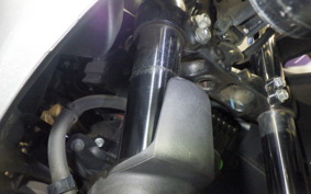 SUZUKI GIXXER 250 SF 2023