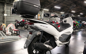 HONDA PCX 125 JF81