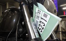 HARLEY XL883N 2020