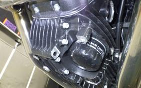 BMW R12 2024