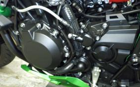 KAWASAKI ZH2 SE 2021 ZRT00K