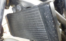 HONDA VTR 250 MC33