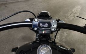 HARLEY FXBRS1870 2021 YHK