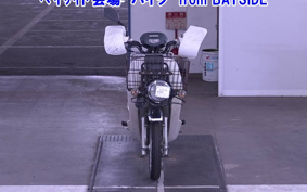 OTHER C110PU LOW 2