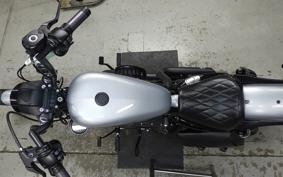 HARLEY XL1200NS 2020