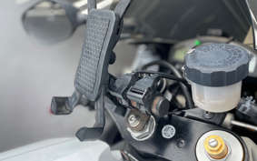 YAMAHA YZF-R1 2010 RN20