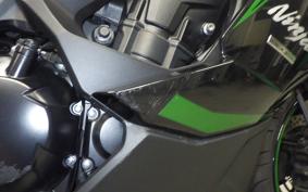 KAWASAKI NINJA 1000SX 2024 ZXT02K