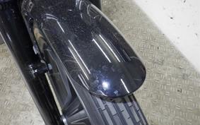 HARLEY XL1200NS 2020