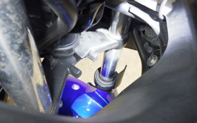 KAWASAKI NINJA 250 EX250L