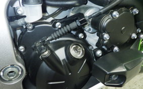 KAWASAKI NINJA ZX-6R A 2024 ZX636J