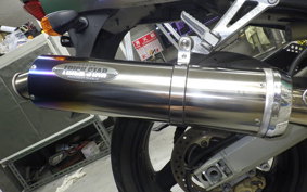KAWASAKI ZX 1200 NINJA R 2001