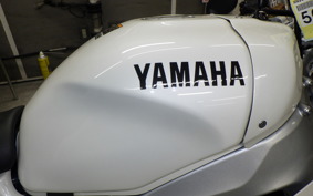 YAMAHA XSR900 GP 2024 RN96J
