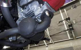 HONDA MONKEY 2024 AB27