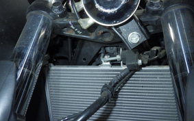 YAMAHA YZF R-3 2024 RH07J
