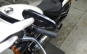 HARLEY FXBRS1870 2019