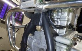 YAMAHA WR250X 2023 DG15J