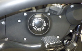 HARLEY XL1200N 2010