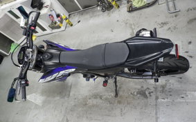 YAMAHA WR250X 2004 DG15J