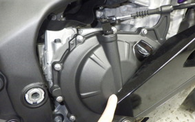 KAWASAKI ZX-4RR 2023 ZX400P