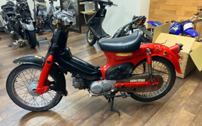 HONDA SUPER CUB50 C50