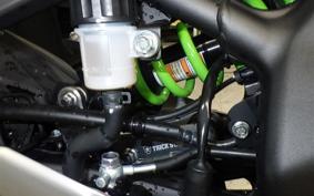 KAWASAKI ZX-4RR 2023 ZX400P