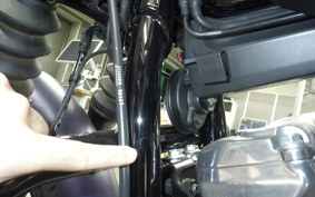 HARLEY FXBB1920 2025
