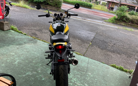 KAWASAKI Z900RS 2023 ZR900K