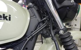 KAWASAKI W175 TR